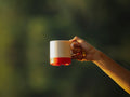 Soft Hours Mug | Ceramic Coffee Mug for Home & Gifting